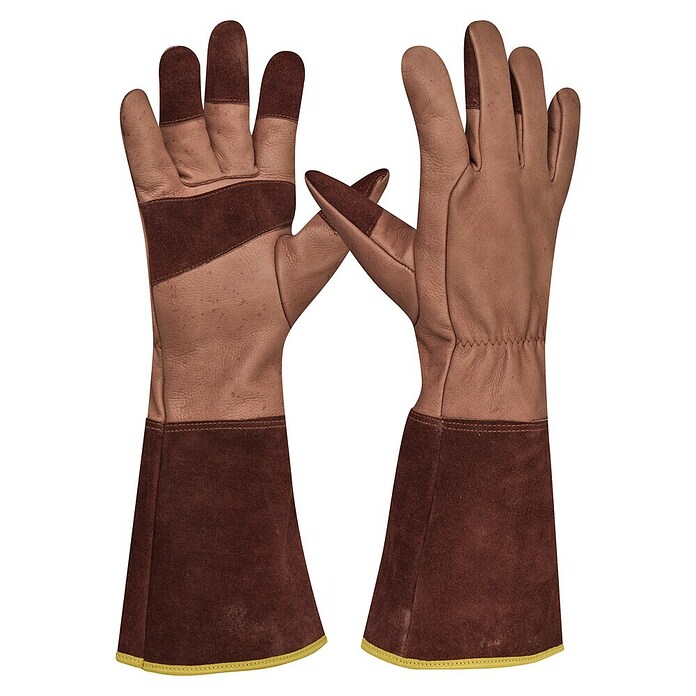 Gebol Gartenhandschuhe Ilex (8, Braun) | BAUHAUS