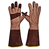 Gebol Gartenhandschuhe Ilex (8, Braun) | BAUHAUS