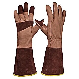 Gebol Gartenhandschuhe Ilex (8, Braun)