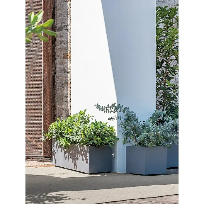 Deroma Millennium Macetero para plantas - Dimensiones externas (L x An x Al): 49 x 49 x 49 cm, Plástico, Gris ceniza - Macetas grises con exuberante vegetación sobre una pared blanca que crean un ambiente moderno y natural.