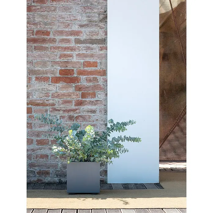 Deroma Millennium Pflanzkasten - Außenmaß (L x B x H): 25 x 25 x 25 cm, Kunststoff, Ashgrey - Moderner Pflanzkasten in Grau mit Eukalyptus auf einer Terrasse, vor einer Backsteinmauer und einer weißen Wand. Schlichtes Design für den Außenbereich.