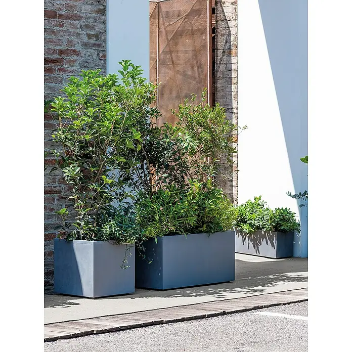 Deroma Millennium Pflanzkasten - Außenmaß (L x B x H): 99 x 37 x 39 cm, Kunststoff, Ashgrey - Drei graue Pflanzkästen mit grünen Pflanzen vor einer Ziegelmauer und einem weißen Gebäude. Sie schaffen eine moderne und natürliche Atmosphäre.