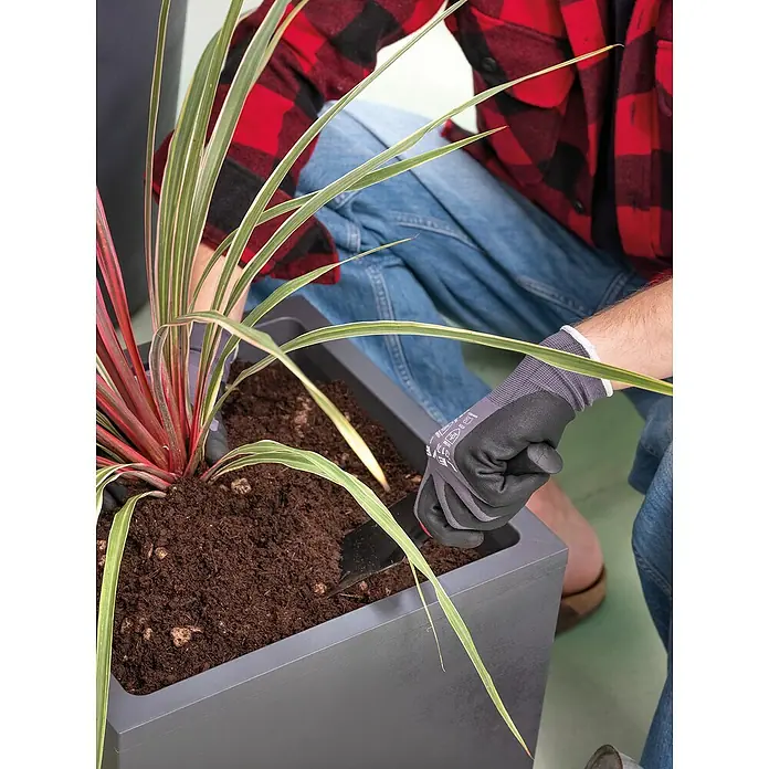 Deroma Millennium Pflanzkasten - Außenmaß (L x B x H): 25 x 25 x 25 cm, Kunststoff, Anthrazit - Person pflanzt eine Pflanze in einen grauen Pflanzkübel mit Erde, wobei sie Gartenhandschuhe und eine kleine Schaufel benutzt.