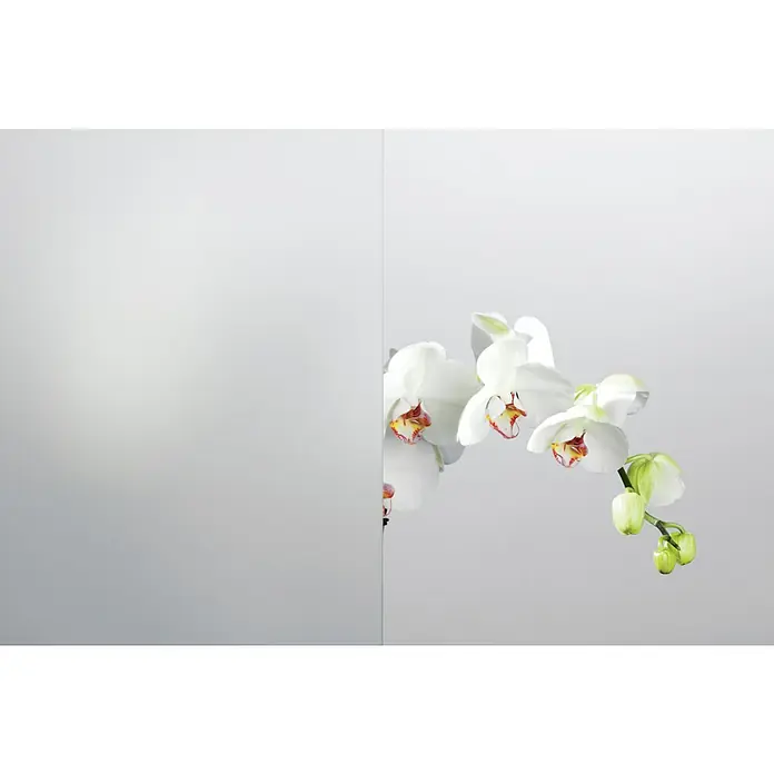 Solid Elements Haustür 1004 - 100 x 210 cm, DIN Anschlag: Rechts, Weiß - Elegante weiße Orchidee, die sich an einer Trennwand befindet, bringt sanfte natürliche Akzente in den Raum.