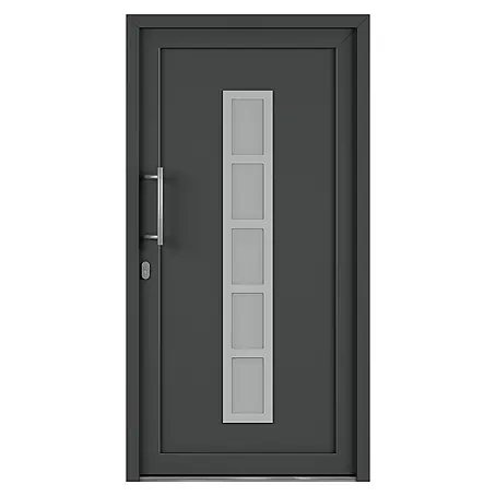 Solid Elements  Haustür 1003