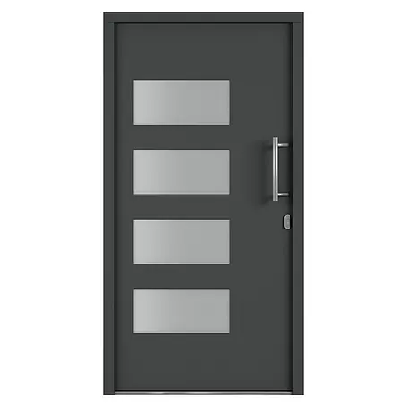 Solid Elements  Haustür 7001