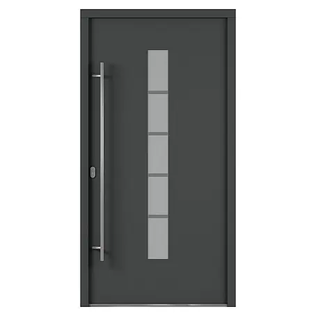 Solid Elements  Haustür 7002