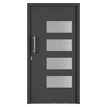 Solid Elements  Haustür 7001