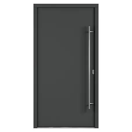 Solid Elements  Haustür 7003