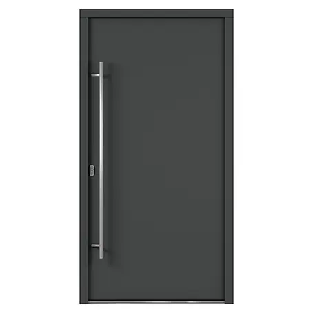 Solid Elements  Haustür 7003
