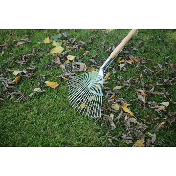 Gardol Laubbesen - Arbeitsbreite: 30 cm - 48 cm, Anzahl Zinken: 22, Langstiel - Nahaufnahme eines Blätterrechens, der auf einem Rasen mit Herbstlaub liegt. Das Werkzeug erleichtert die Gartenarbeit im Herbst.