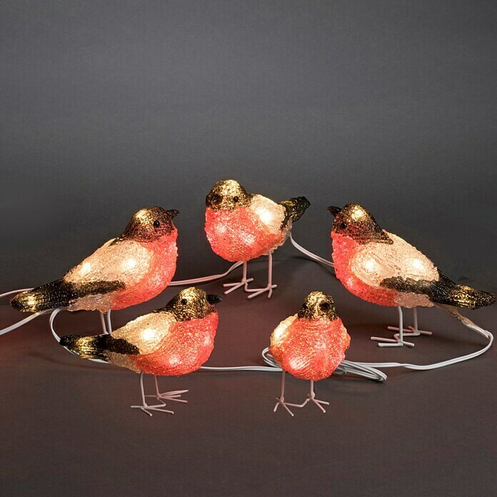 Konstsmide LED-Lichterkette Rotkehlchen (Außen, 40-flammig, Kabellänge: 4 m, Kaltweiß)
