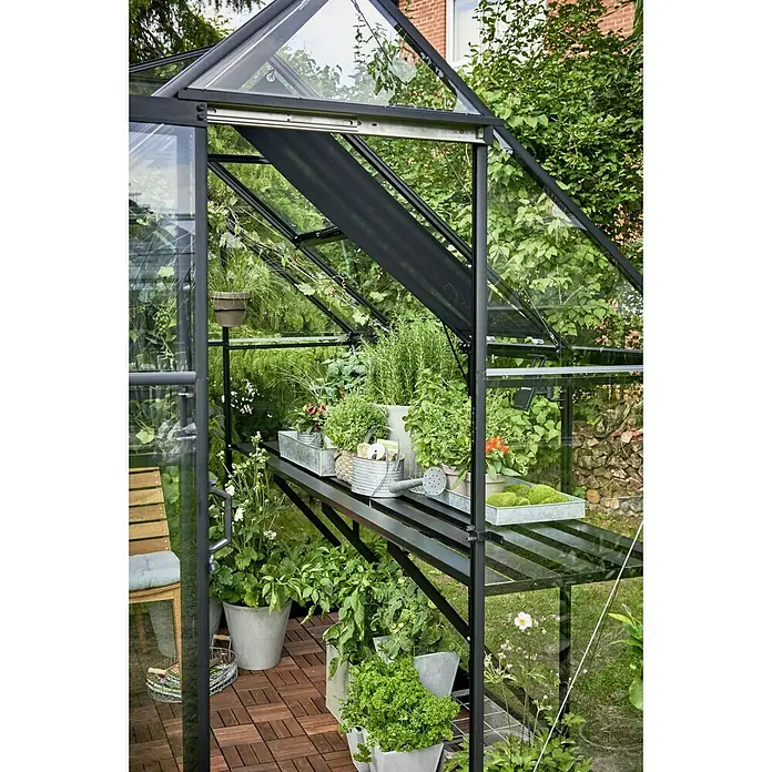 Halls Gewächshaus-Tisch - Passend für: Juliana Gewächshaus Qube 812 - Nahaufnahme eines Gewächshauses mit Pflanzen, Regalen und einem Holzboden, das eine ruhige Gartenszene zeigt.