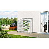 Vitavia Gewächshaus (0,69 x 0,93 x 1,82 m, Glasstärke: 3 mm, Aluminium)