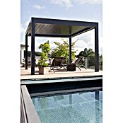 Wismar-NFI Pergola Bio (L x B: 480 x 359,3 cm, Grau)