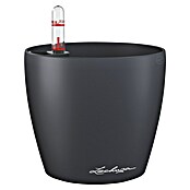 Lechuza Classico Pflanztopf Color (Außenmaß (Ø x H): 13,2 x 11,8 cm, Kunststoff, Grau) | BAUHAUS