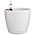 Lechuza Classico Pflanztopf Color 