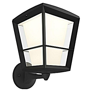 Philips Hue Led-wandlamp voor buiten White & Color Ambiance Econic (15 W, 19,4 x 24,4 x 30,1 cm, Zwart, IP44)