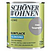 Schöner Wohnen Home Buntlack (Taupegrau, 750 ml, Glänzend)