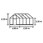 Halls Gewächshaus Qube 68 (Außenmaß inkl. Dachüberstand (B x T): 198 x 259 cm, Material Seitenwand: Glas, 3 mm, Schwarz) | BAUHAUS