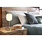 Globo Ewald Okrugla stolna LED svjetiljka  (Ø x V: 15 x 40 cm, Zlatna) | BAUHAUS