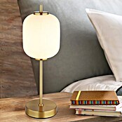 Globo Ewald Okrugla stolna LED svjetiljka  (Ø x V: 15 x 40 cm, Zlatna) | BAUHAUS