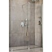 Camargue Duschwand Milano (B x H: 120 x 200 cm, Silberglanz) | BAUHAUS