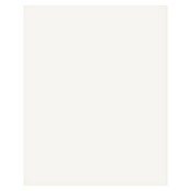 DryTile Wandfliese Snow (Weiss, Matt, L x B x S: 25 cm x 20 cm x 6 mm) | BAUHAUS