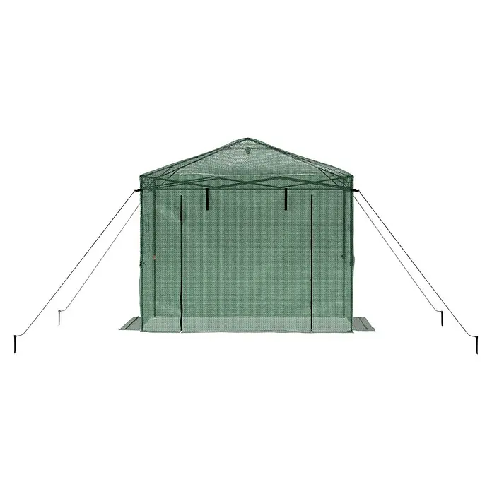 Gardol Folien-Gewächshaus Pop-Up - 240 x 180 x 245 cm, Metall, Kunststoff - Bild eines grünen Gewächshauses mit Seilen zur Stabilisierung. Das Gewächshaus ist für Pflanzen und den Garten konzipiert.