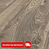 LOGOCLIC Silentos Laminat Pinija Verola (1.285 x 192 x 9 mm, Rustikalni pod)