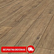 LOGOCLIC Ambienta Laminat Hrast Apolo  (Smeđa, Rustikalni pod, 1.288 x 195 x 10 mm) | BAUHAUS