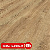 LOGOCLIC Ambienta Laminat Hrast Canta  (Smeđa, Rustikalni pod, 1.288 x 195 x 10 mm) | BAUHAUS