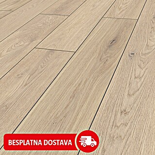 LOGOCLIC Vinto Laminat Classic Cornsilk (Rustikalni pod, 1.288 x 195 x 8 mm)