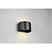 Trio Lighting Buitenwandlamp met sensor Talent 16 zwart (5 W, IP44) | BAUHAUS