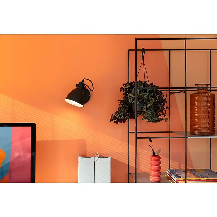 Eglo Priddy Wandleuchte - 40 W, Schwarz, Schwarz, Weiß, E27 - Nahaufnahme einer schwarzen Wandleuchte mit Glühbirne an einer orangefarbenen Wand, neben einem Regal mit Deko-Objekten und einer Pflanze.
