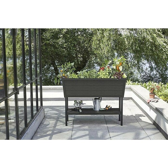 Keter Visoka gredica Urban Bloomer XL  (112 x 46 x 84 cm, Plastika, Antracit) | BAUHAUS