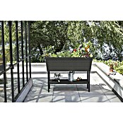 Keter Visoka gredica Urban Bloomer XL  (112 x 46 x 84 cm, Plastika, Antracit) | BAUHAUS