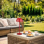 Trio Lighting Led-tafellamp Ricardo - oplaadbare lamp (1,7 W, Rood, Ø x h: 13 x 30 cm) | BAUHAUS