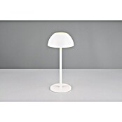 Trio Lighting Led-tafellamp Ricardo - oplaadbare lamp (1,7 W, Wit, Ø x h: 13 x 30 cm) | BAUHAUS