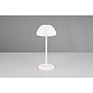 Trio Lighting Led-tafellamp Ricardo - oplaadbare lamp (1,7 W, Wit, Ø x h: 13 x 30 cm)