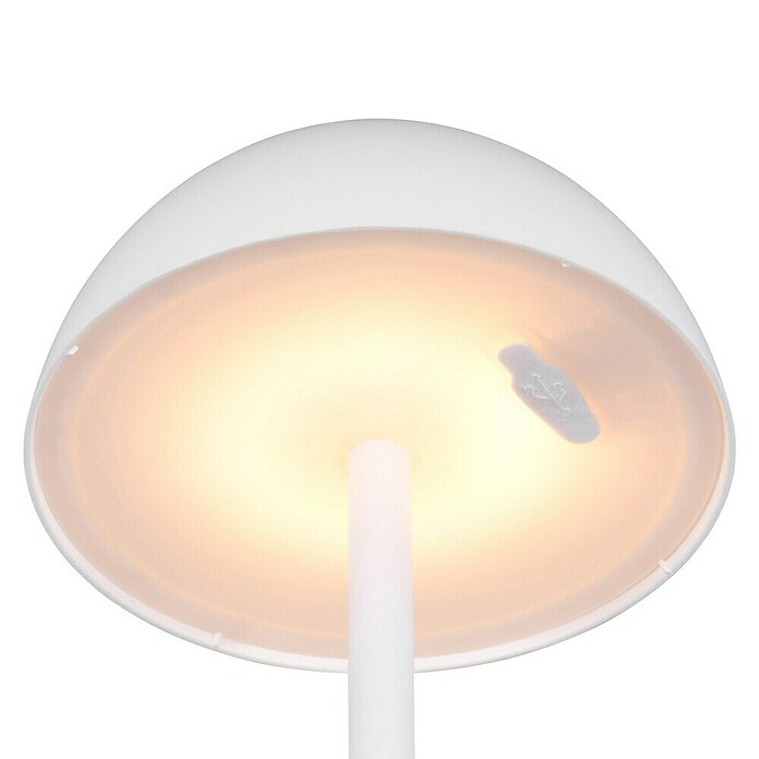 Trio Lighting Led-tafellamp Ricardo - oplaadbare lamp (1,7 W, Wit, Ø x h: 13 x 30 cm) | BAUHAUS