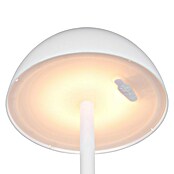 Trio Lighting Led-tafellamp Ricardo - oplaadbare lamp (1,7 W, Wit, Ø x h: 13 x 30 cm) | BAUHAUS