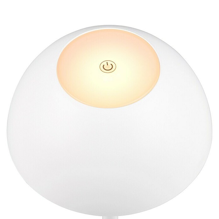 Trio Lighting Led-tafellamp Ricardo - oplaadbare lamp (1,7 W, Wit, Ø x h: 13 x 30 cm) | BAUHAUS