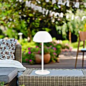 Trio Lighting Led-tafellamp Ricardo - oplaadbare lamp (1,7 W, Wit, Ø x h: 13 x 30 cm) | BAUHAUS