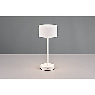 Trio Lighting Led-tafellamp Jeff (Wit, Ø x h: 12 x 30 cm)
