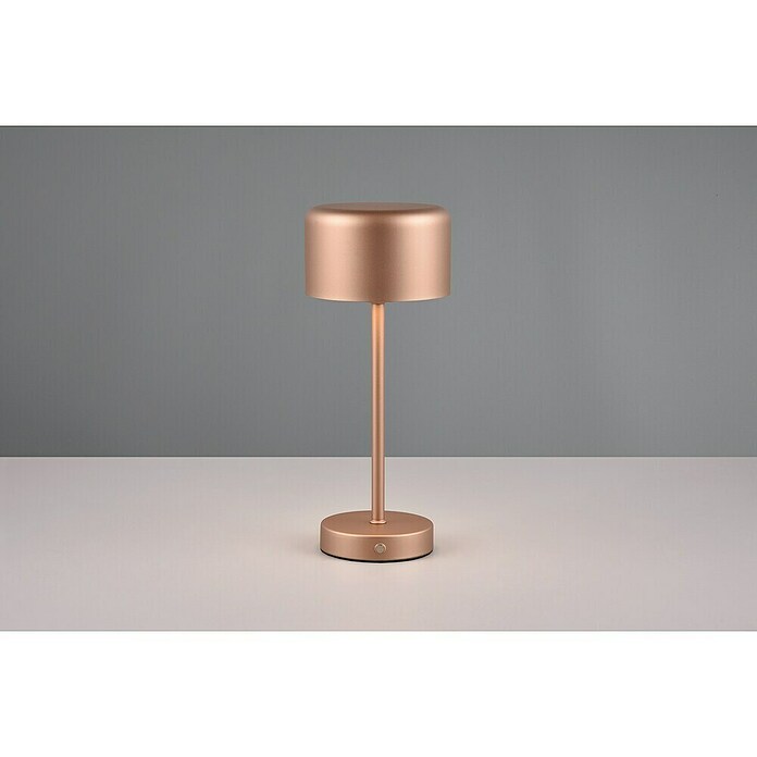 Trio Lighting Led-tafellamp Jeff - oplaadbare lamp (1,5 W, Bronze, Ø x h: 12 x 30 cm) | BAUHAUS