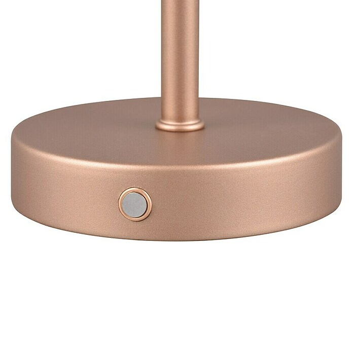 Trio Lighting Led-tafellamp Jeff - oplaadbare lamp (1,5 W, Bronze, Ø x h: 12 x 30 cm) | BAUHAUS