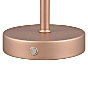 Trio Lighting Led-tafellamp Jeff - oplaadbare lamp (1,5 W, Bronze, Ø x h: 12 x 30 cm) | BAUHAUS