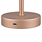 Trio Lighting Led-tafellamp Jeff - oplaadbare lamp (1,5 W, Bronze, Ø x h: 12 x 30 cm) | BAUHAUS