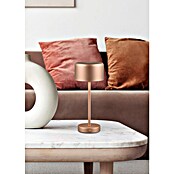 Trio Lighting Led-tafellamp Jeff - oplaadbare lamp (1,5 W, Bronze, Ø x h: 12 x 30 cm) | BAUHAUS
